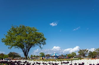 国営木曽三川公園・木曽三川公園センター
