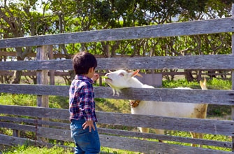 芦ケ池農業公園「サンテパルクたはら」