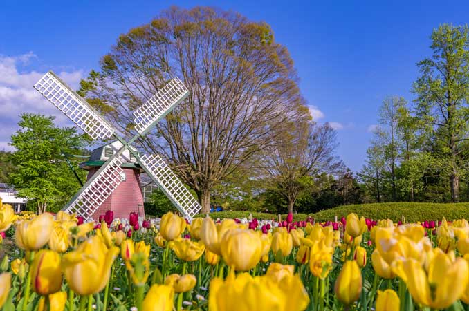 兵庫県立フラワーセンター