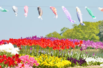 兵庫県立フラワーセンター