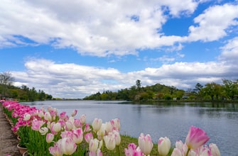 兵庫県立フラワーセンター