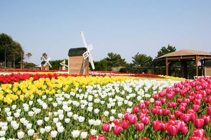 国営明石海峡公園