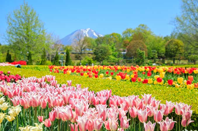 鳥取県立フラワーパークとっとり花回廊