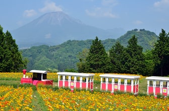 鳥取県立フラワーパークとっとり花回廊