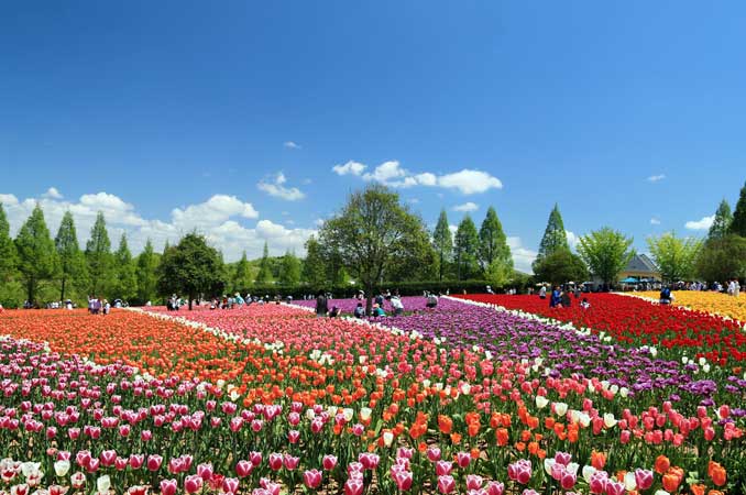 世羅高原農場（せらこうげんのうじょう）