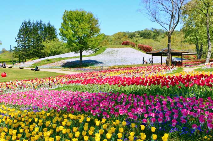 国営讃岐まんのう公園