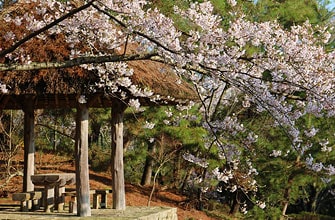 公渕森林公園（きんぶちしんりんこうえん）