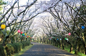 公渕森林公園（きんぶちしんりんこうえん）