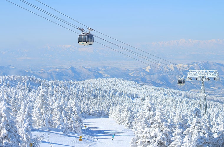 蔵王の「樹氷」