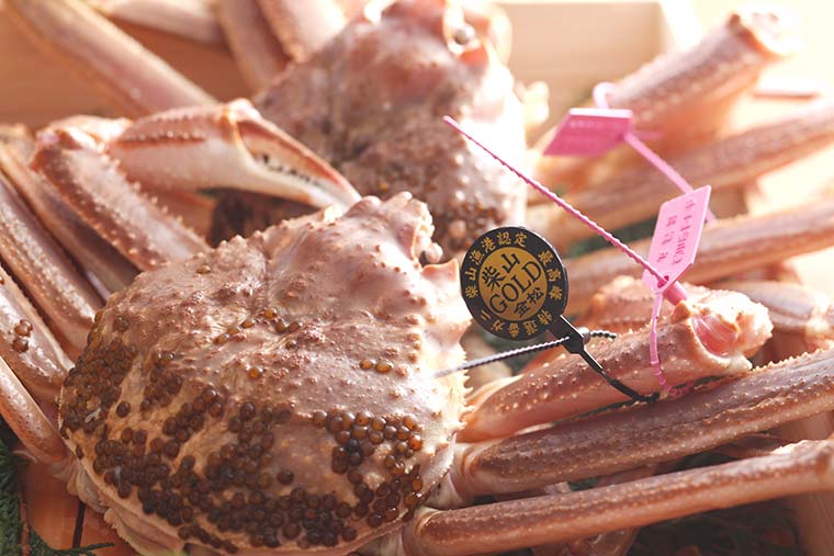 金色のタグ付き「柴山ゴールド」