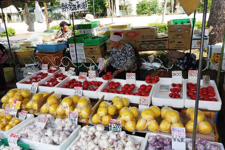 高知名物の「日曜市」