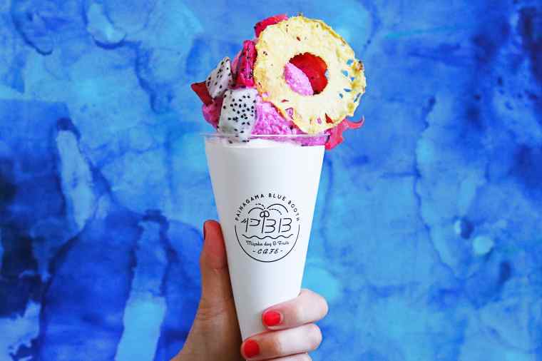 ちゃんぷるSOFT アイランドドラゴン 