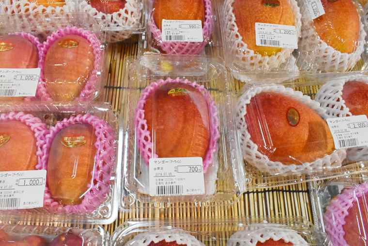 宮古島のマンゴー