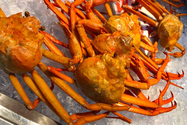 富山の高志の紅ガニ