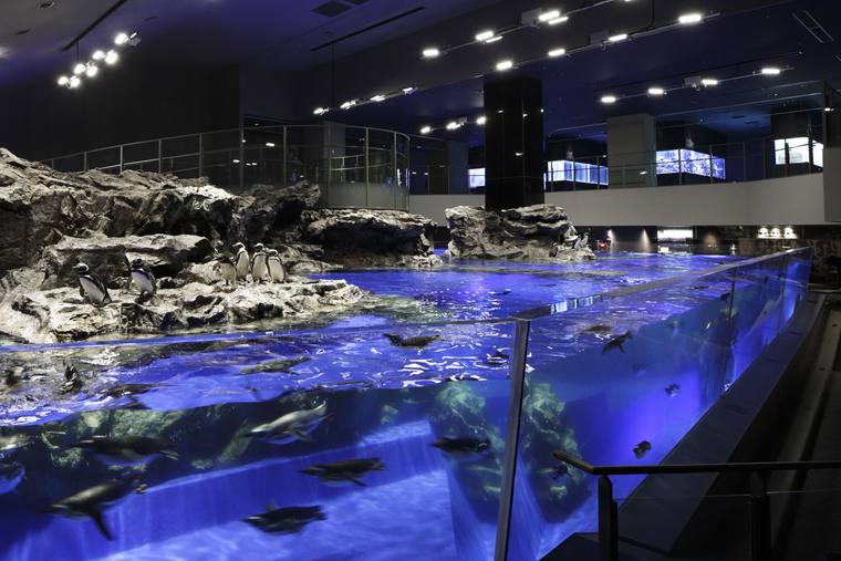 東京スカイツリー　すみだ水族館