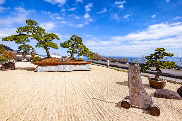アカオハーブ&ローズガーデン「鳳凰の松」