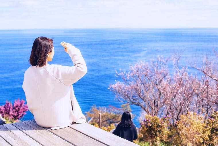 アカオハーブ&ローズガーデン「オーシャンガーデン」周辺