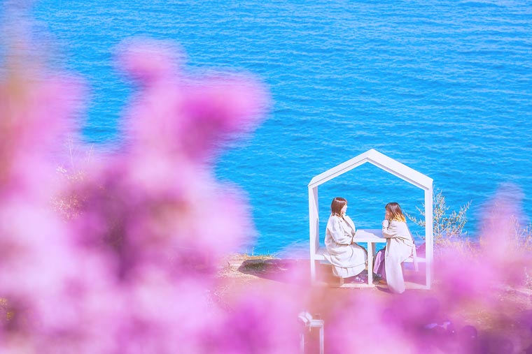 アカオハーブ&ローズガーデン「フレームハウス」