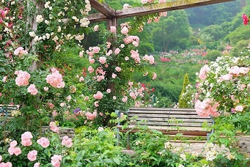 アカオハーブ&ローズガーデン