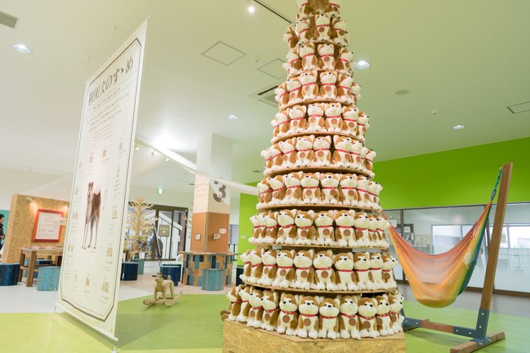 大館市観光交流施設「秋田犬の里(あきたいぬのさと)」