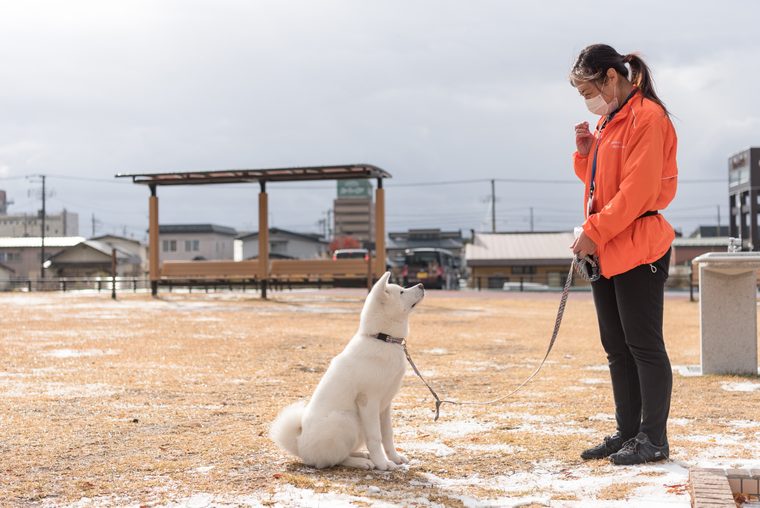 大館市観光交流施設「秋田犬の里(あきたいぬのさと)」