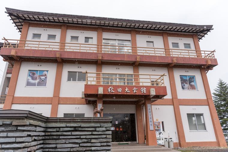 秋田犬の歴史を学ぶ「秋田犬会館」