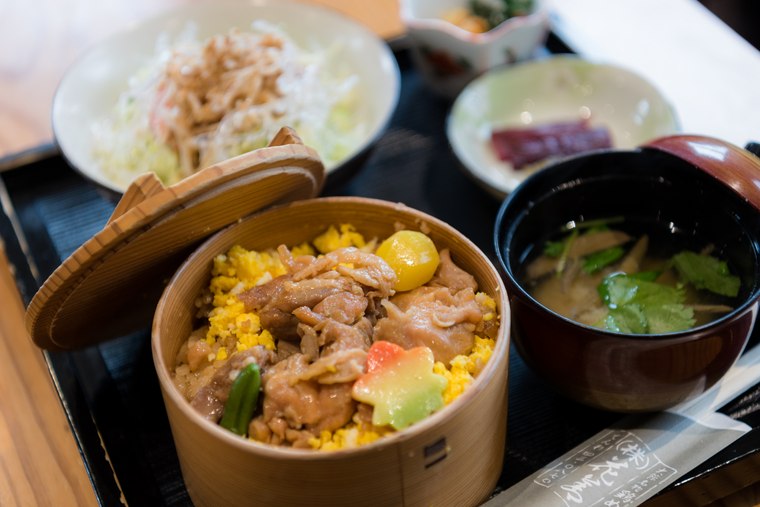 秋田犬の歴史を学ぶ「秋田犬会館」