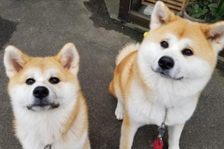 「ふるさわ温泉 光葉館」