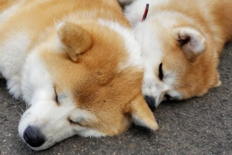 「ふるさわ温泉 光葉館」