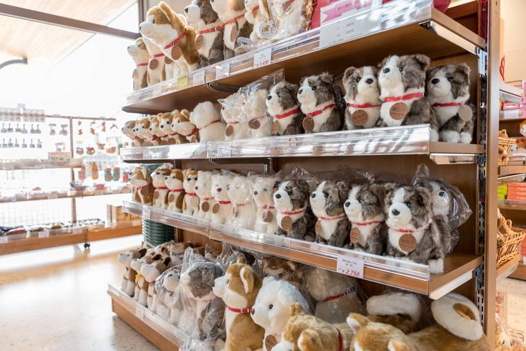 大館市観光交流施設「秋田犬の里(あきたいぬのさと)」