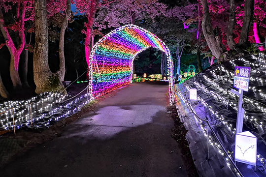 7色のタイムトンネル