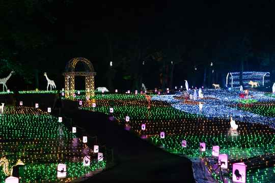 フォトジェニック ナイトサファリ