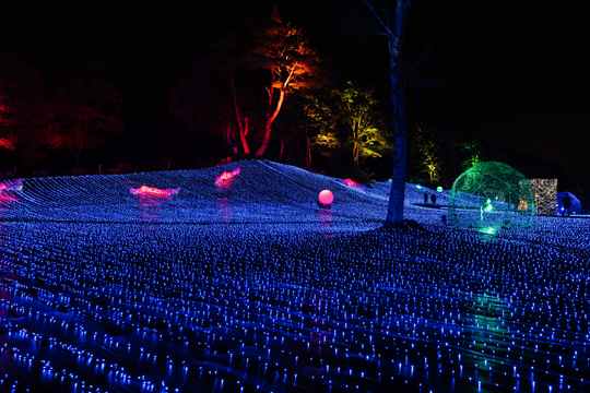 宇宙のどこか（グラウンドイルミネーション）