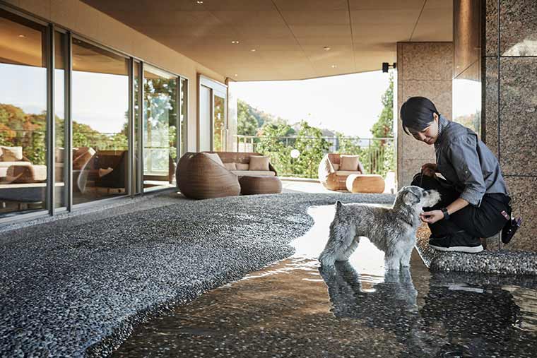 有馬グランドホテル ペットホテル