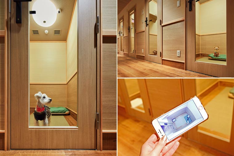 有馬グランドホテル ペットホテル