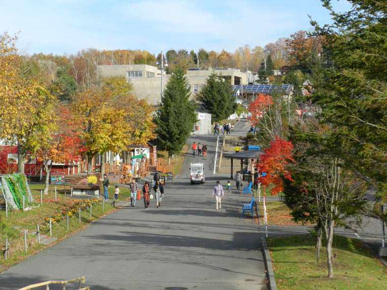 北海道　旭山動物園　園内