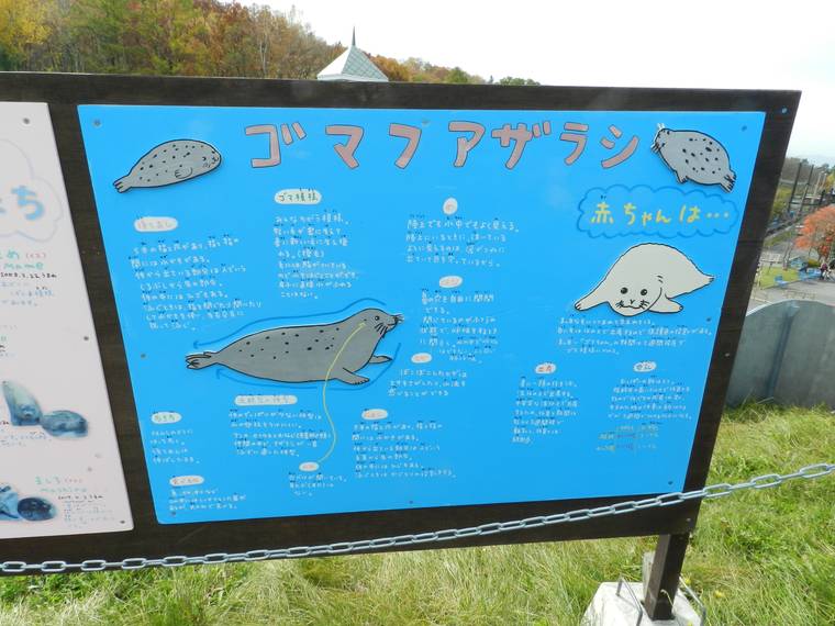 北海道　旭山動物園　イラストパネル