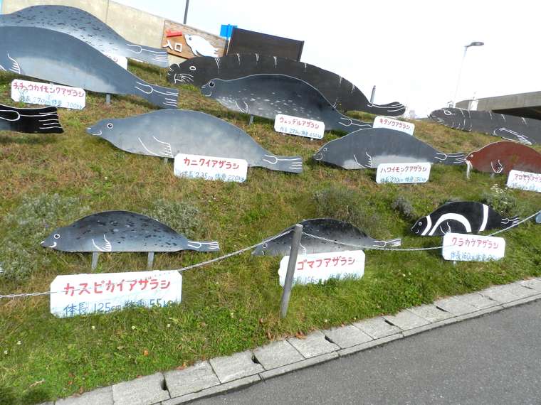北海道　旭山動物園　イラストパネル