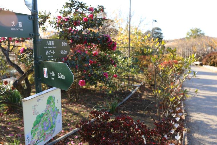 あしかがフラワーパーク　園内標識