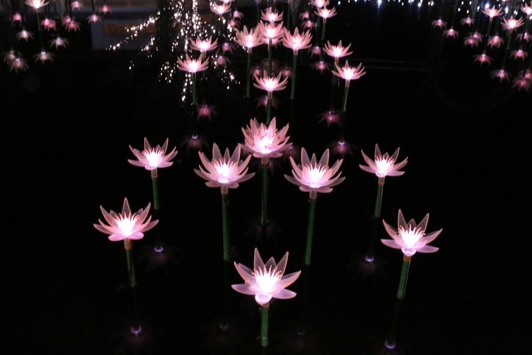 あしかがフラワーパーク　イルミネーション