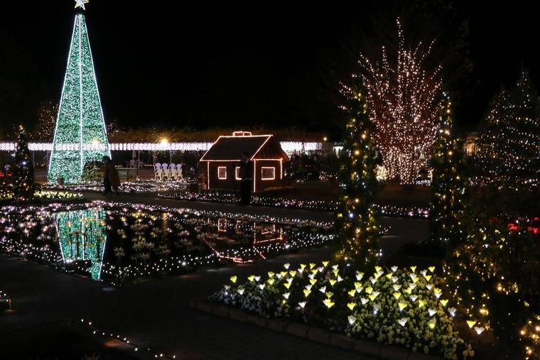 光のフラワーステージ