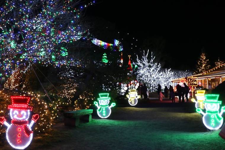 スノーワールド　イルミネーション