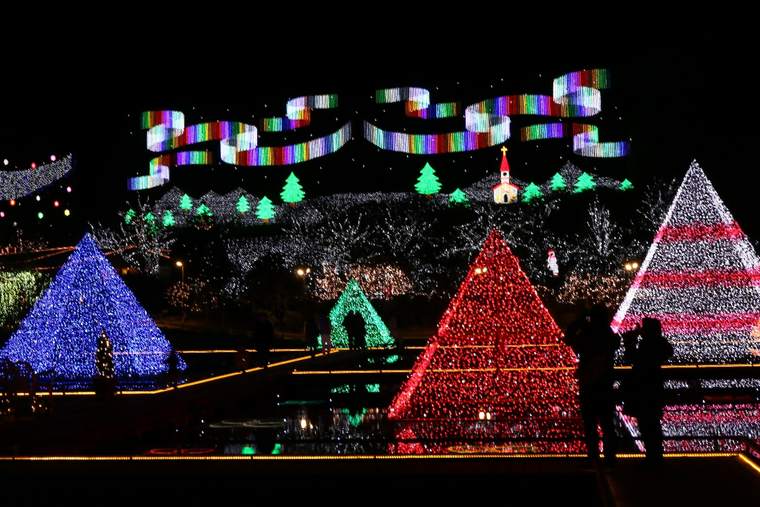 あしかがフラワーパーク　イルミネーション