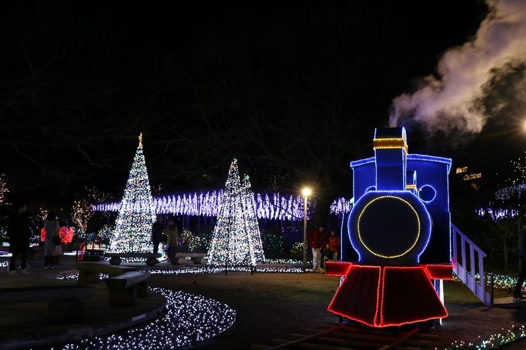 あしかがフラワーパーク　イルミネーション