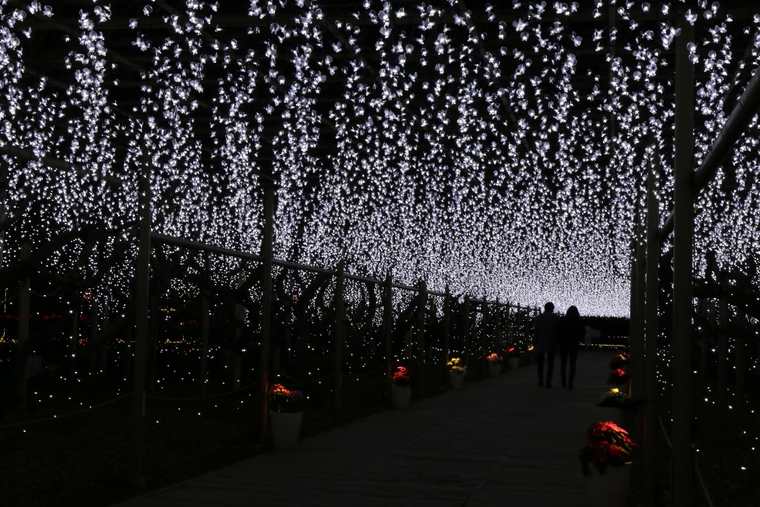 あしかがフラワーパーク　イルミネーション