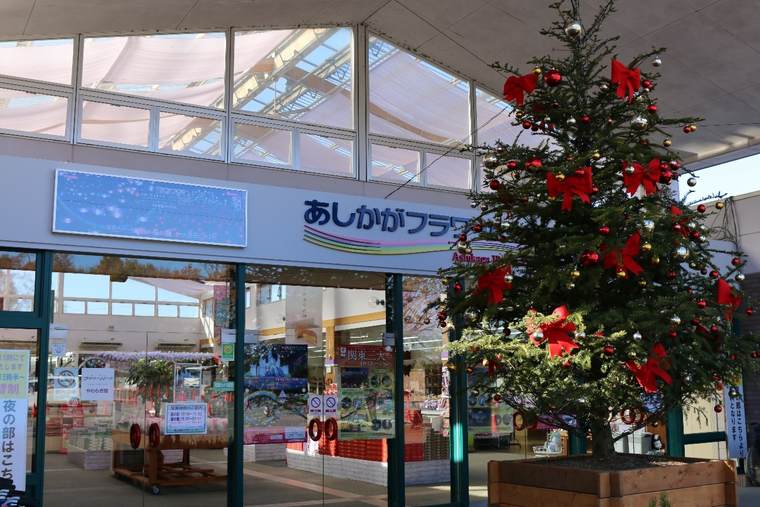 あしかがフラワーパーク正面ゲート