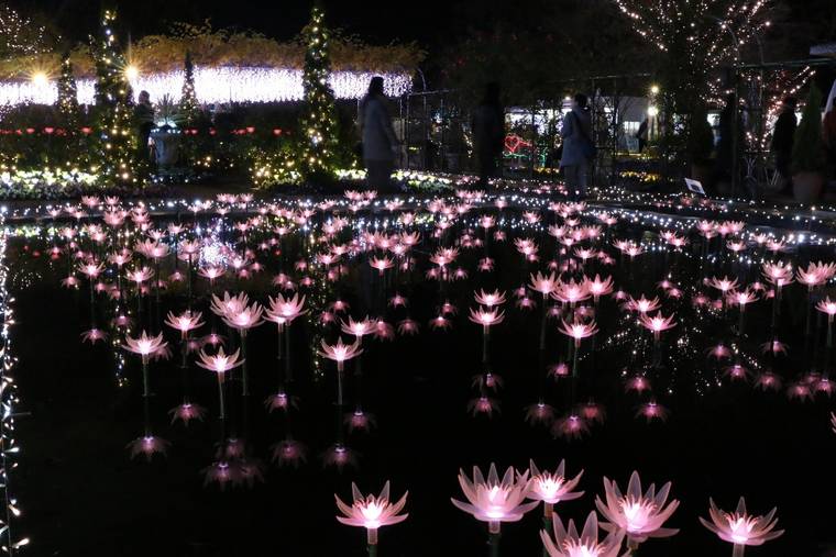 あしかがフラワーパーク　イルミネーション