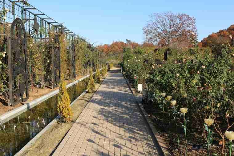 あしかがフラワーパーク