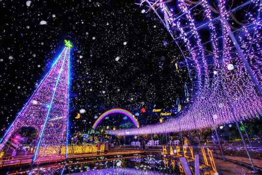 あしかがフラワーパーク　イルミネーション