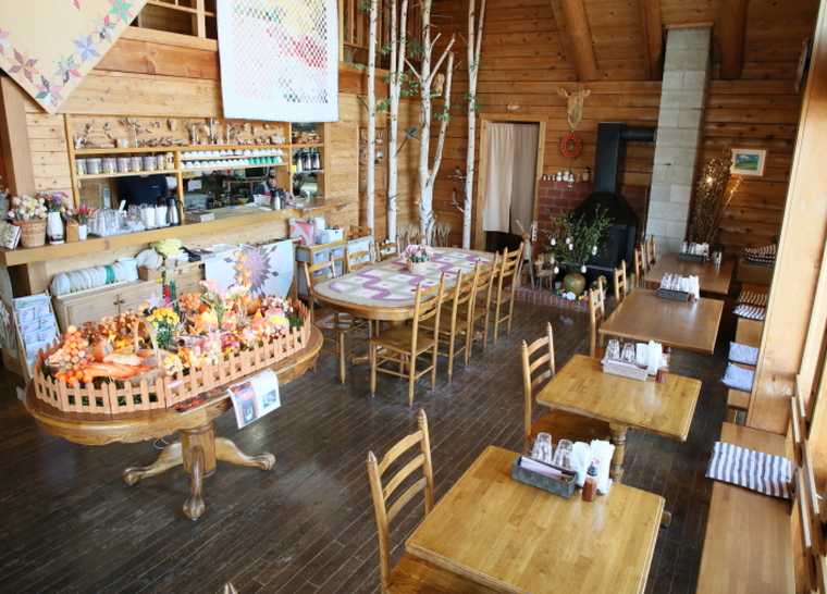 美瑛　木のいい仲間